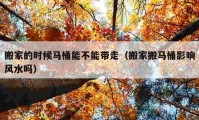 搬家的時候馬桶能不能帶走（搬家搬馬桶影響風水嗎）